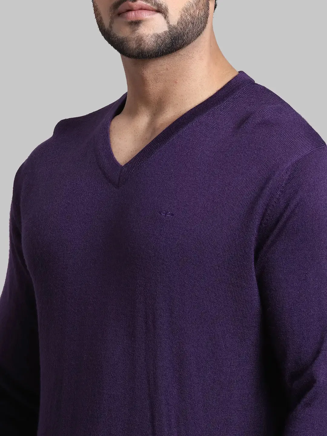 Men Violet Tailored Fit Solid Wool Blend Full Sleeve V Neck Collar Sweaters