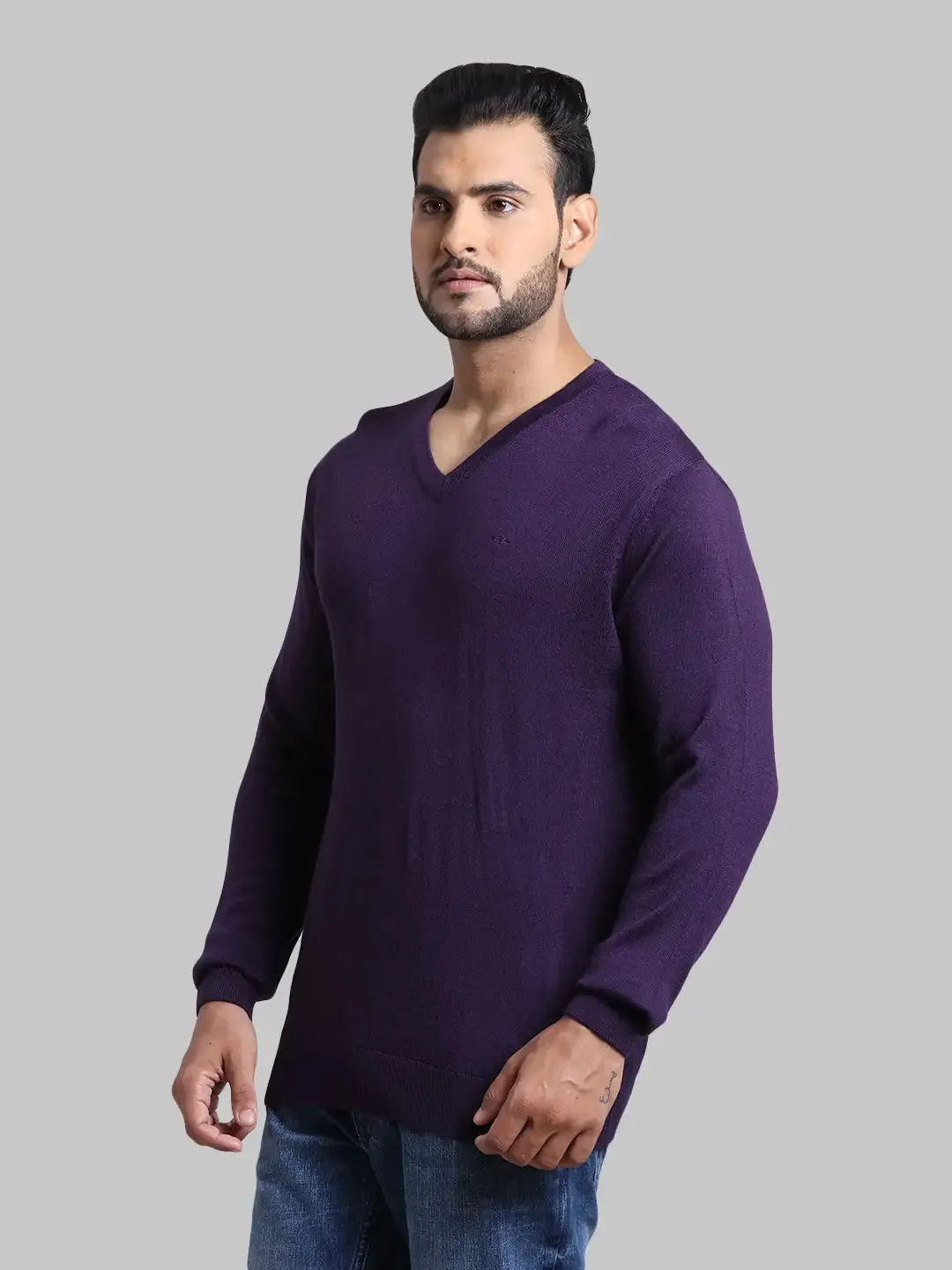 Men Violet Tailored Fit Solid Wool Blend Full Sleeve V Neck Collar Sweaters
