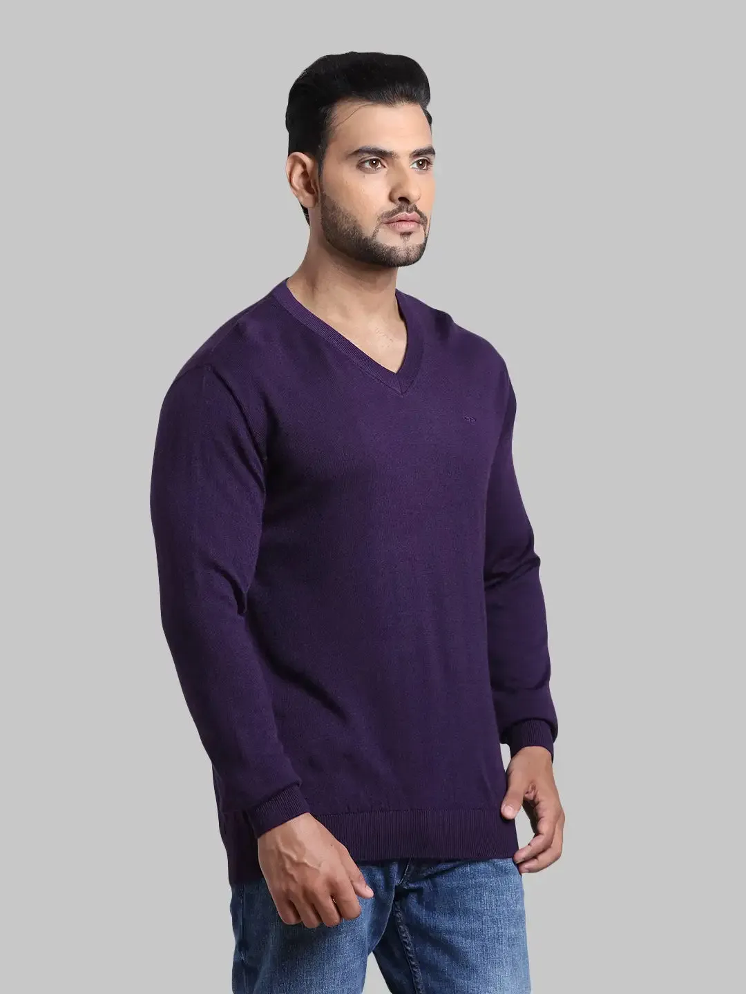 Men Violet Tailored Fit Solid Wool Blend Full Sleeve V Neck Collar Sweaters