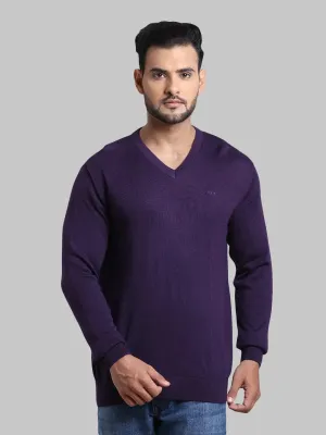 Men Violet Tailored Fit Solid Wool Blend Full Sleeve V Neck Collar Sweaters